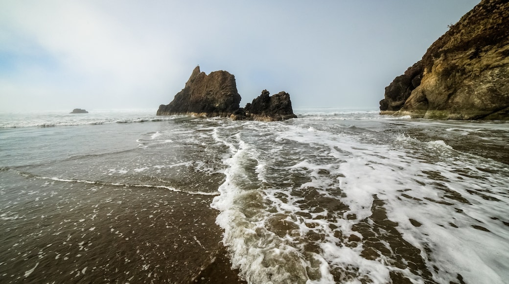 Arcadia Beach, Arch Cape, Oregon, United States of America