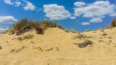 It's not desert. It's a beach! sand dunes in contrast to the blue sky! #BVSBlue
