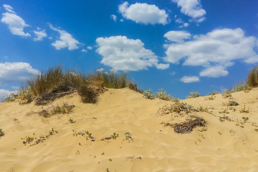 It's not desert. It's a beach! sand dunes in contrast to the blue sky! #BVSBlue