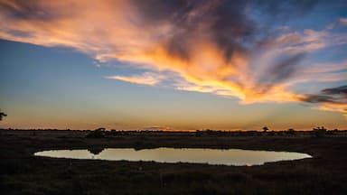 Another stunning #Africa #sunset from my Dragoman #overland trip in 2011, this time at #Okaukuejo Camp in #Namibia 🇳🇦. This is within the #Etosha #NationalPark, so that pool in the foreground is actually a waterhole which is regularly used by elephants, giraffes and other amazing creatures.
#LifeAtExpedia