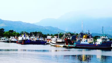 Looking back at the coastline of La Ceiba and all the many old boats and ships moored at the docks, from the deck of the ferry, Utila Dream, as the ferry is leaving La Ceiba for The Caribbean island of Utila. #blue 