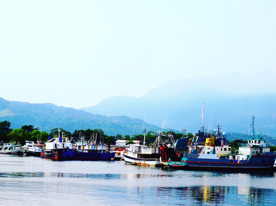 Looking back at the coastline of La Ceiba and all the many old boats and ships moored at the docks, from the deck of the ferry, Utila Dream, as the ferry is leaving La Ceiba for The Caribbean island of Utila. #blue
