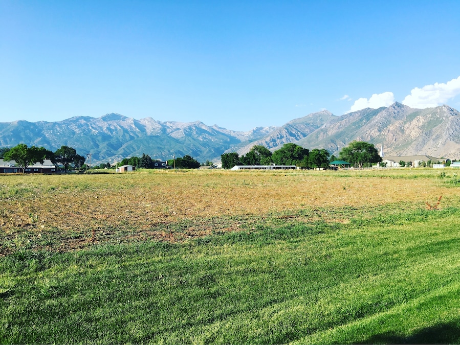 A beautiful view of this majestic mountain from the backyard.