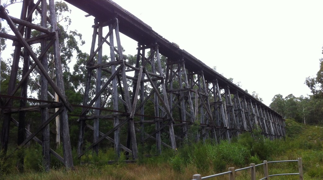 Stony Creek Trestle Bridge, Nowa Nowa, Victoria, Australia