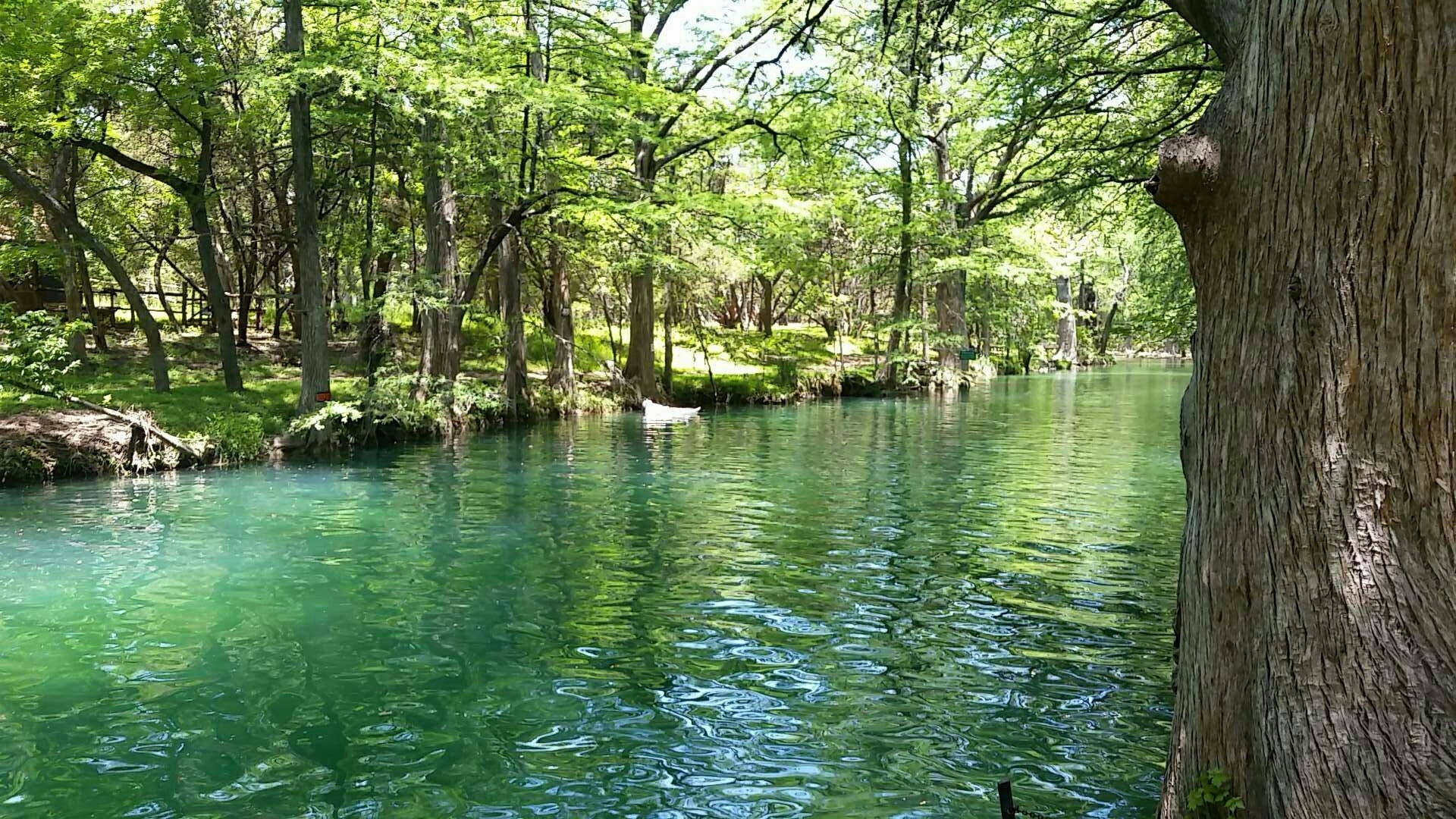 Beautiful blue and green place like this needs no editing! Great for swimming, crystal clear water, and swings to jump on into the water. #Bestof5