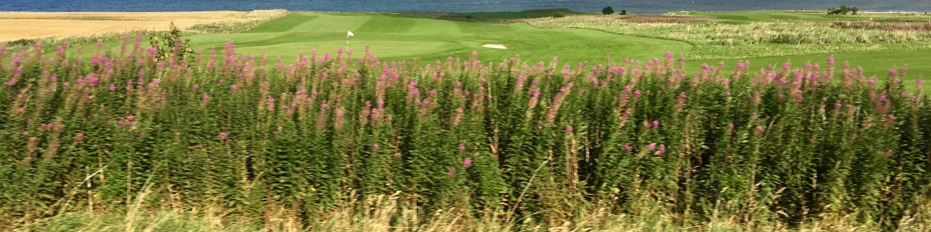 Today, I’d Rather Be… sitting on a train to anywhere, watching the world go by and build stories in my head about the places and people I see, as the train whizzes by picturesque towns and countryside. This shot above was taken from the train as we headed north to Inverness in Scotland. 
More: http://mariadasstheworld.com/2018/03/15/weekly-photo-challenge-id-rather-be/