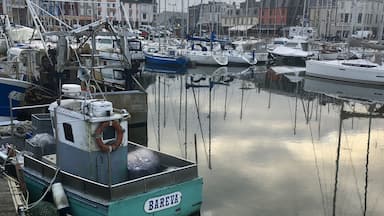The marina of Paimpol, Côtes-d’Armor, Brittany
