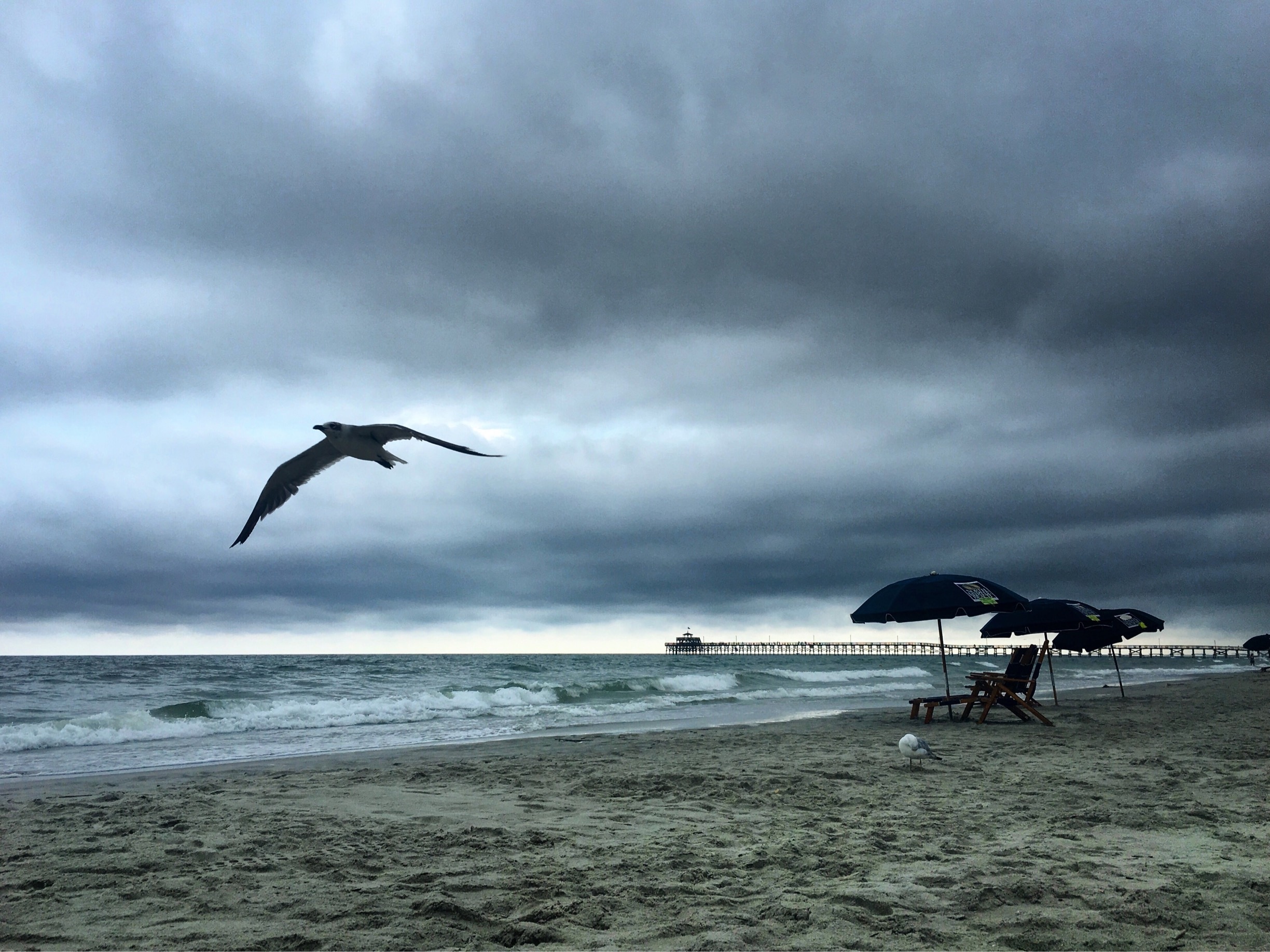 Even a rainy day at the beach is a good day. 
