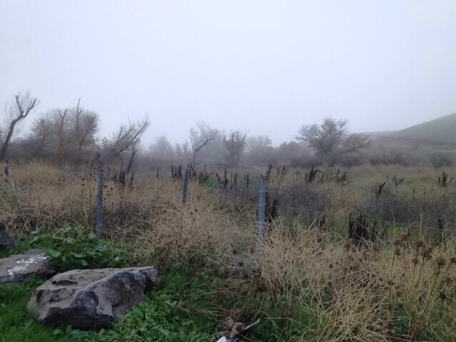 Stop on the side of the road.  Easy pull off and back on.  You could possibly see birds of prey, song birds, elk, rabbits, coyotes or other wildlife.  Today it was fog.