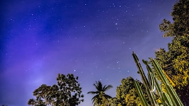 This is my first attempt on night photography / astrophotography in front of my house. 
