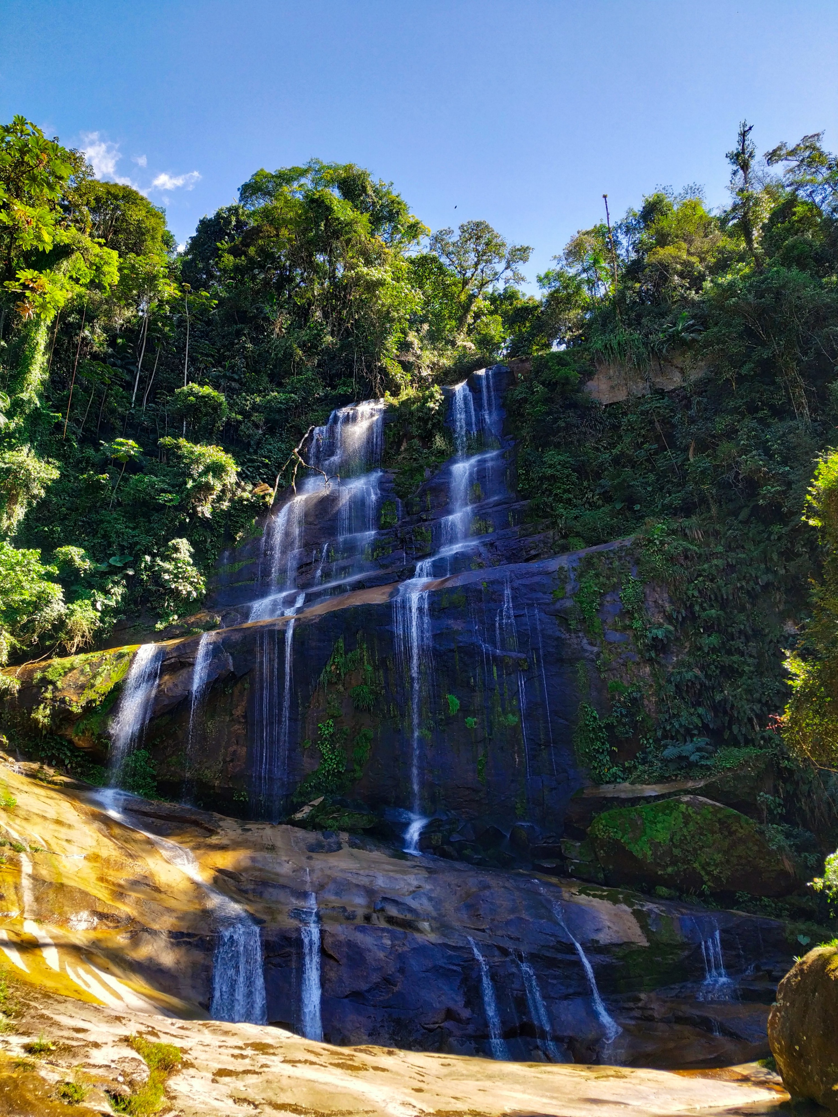 This amazing place is the "Cachoeira da Jornada" in Regua, a Forest reserve in Cachoeiras de Macacu/RJ, a beautiful place to visit with your family!

#nature #waterfall #brasil #travel #florest #tree 