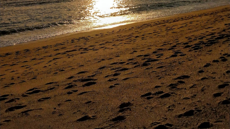 Crinnis Beach