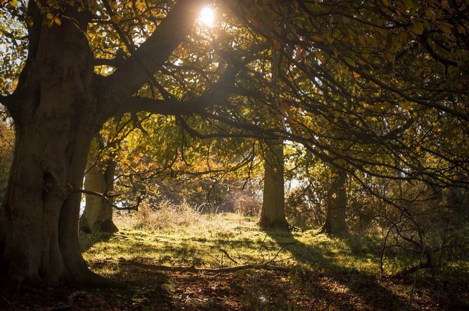 Photo by David Slaymaker