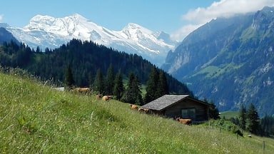 Enjoy this hike from Frutigen to Blausee in the beautiful valley of Kandertal.
