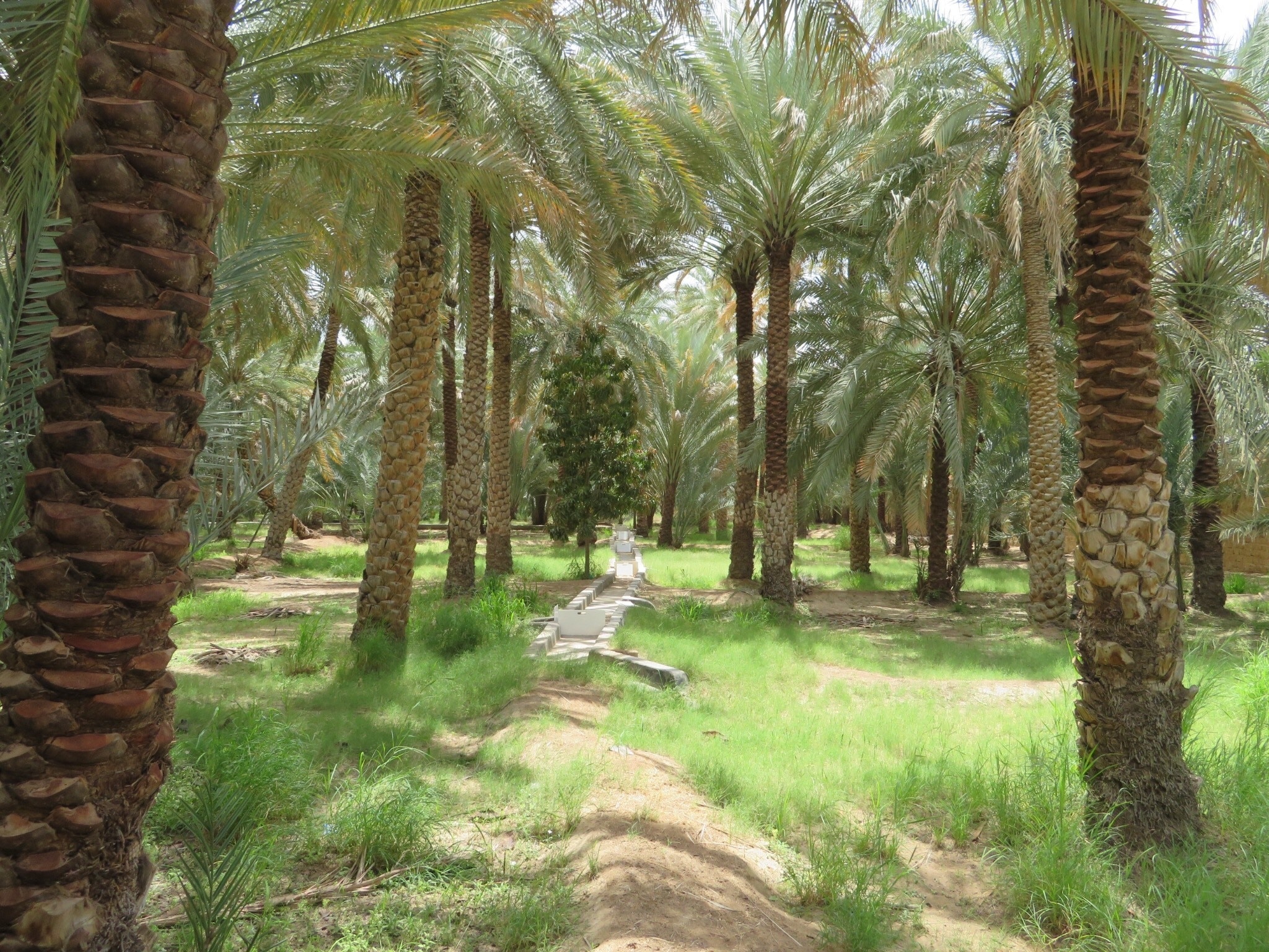 A lovely place to explore on a hot day in the UAE.