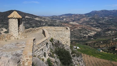 This is the spectacular view from the castle in Olvera - one of Andalucia's pueblos blancos (white towns).

A steep climb uphill from the centre of town will bring you to the entrance of the 12th century castle.

It costs just 2 euros to enter and the opening hours are 10am-2pm and 6pm-9pm.
