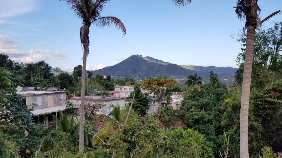 A view from Alba's mom's front porch. Beautiful view, but the drive to get here is awful.