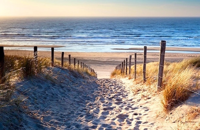 are dogs allowed on kiawah island beaches