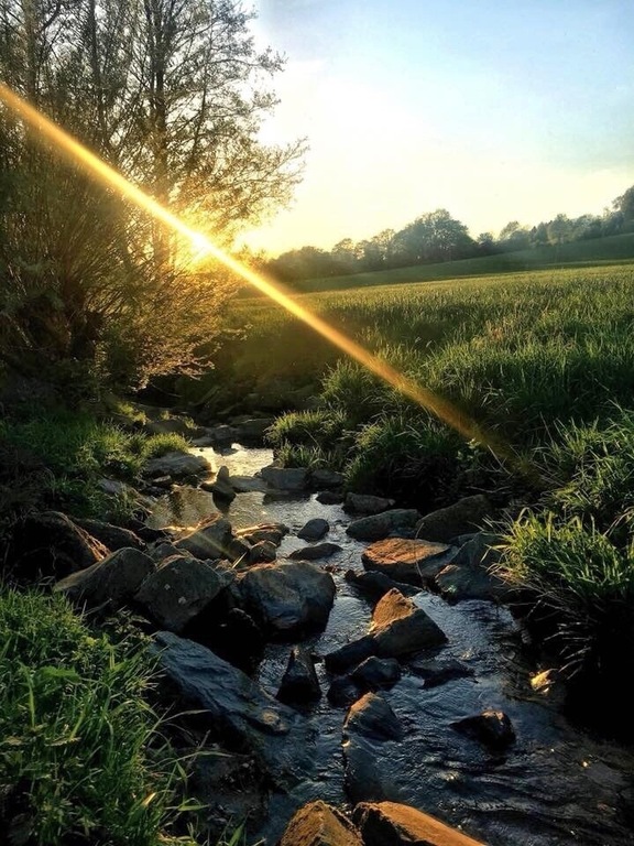 Das Schöne liegt oft genau vor der Haustür... der Rinderbach ist ein Nebenfluss der Ruhr und entspringt direkt in meiner Heimat Velbert. Hier gibt es viele schöne Wanderwege durch das Bergische Land.