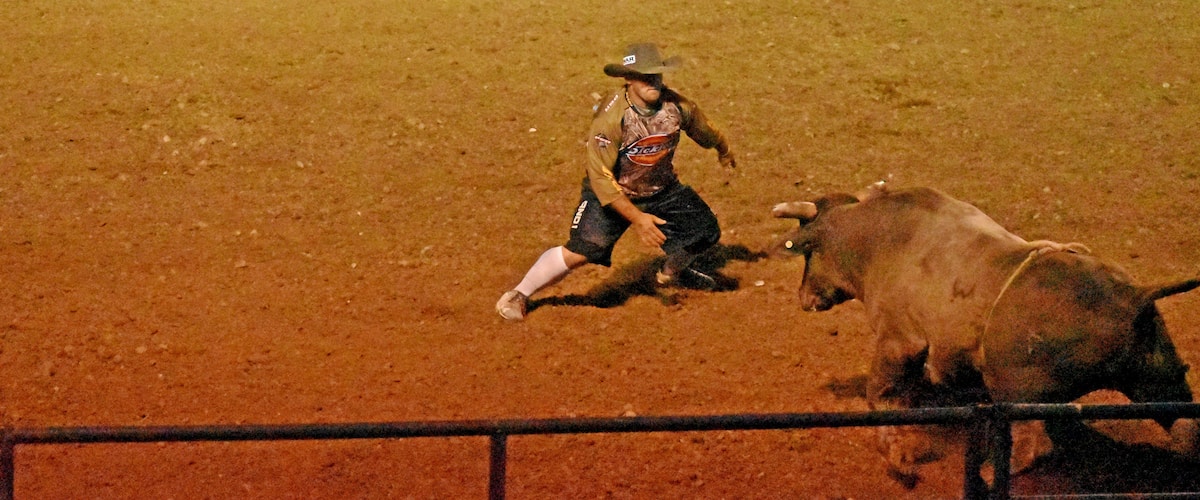 A rodeo clown, bullfighter (in the United States, Canada, Australia and New Zealand) or rodeo protection athlete, is a rodeo performer who works in bull riding competitions. Originally, the rodeo clown was a single job combining "bullfighting"—the protection of riders thrown from the bull, as well as being an individual who provided comic relief. Today in the USA, the job is split into two separate ones, hiring bullfighters who protect the riders from the bull, and entertainers, a barrelman and a clown, who provides comic humor. However, in other parts of the world and at some small rodeos, the jobs of rodeo rider protection and comic remain combined.
In this photograph the bullfighter is participating with other bullfighters in a contest to see who can touch the bull on the horn.
#Adventure