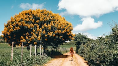 Samaipata is one of Bolivia's hidden gems. Staying in this quiet town gives you access to the beautiful natural areas that surround it.

Quick Tip: Taking a stroll down the streets outside the town offer some pretty jungle views and a glimpse of local life in the countryside. #Bolivia #Travel