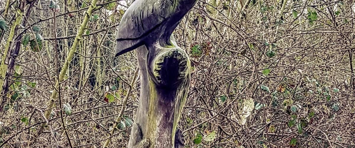 Tree carvings at Ladybelt Country Park