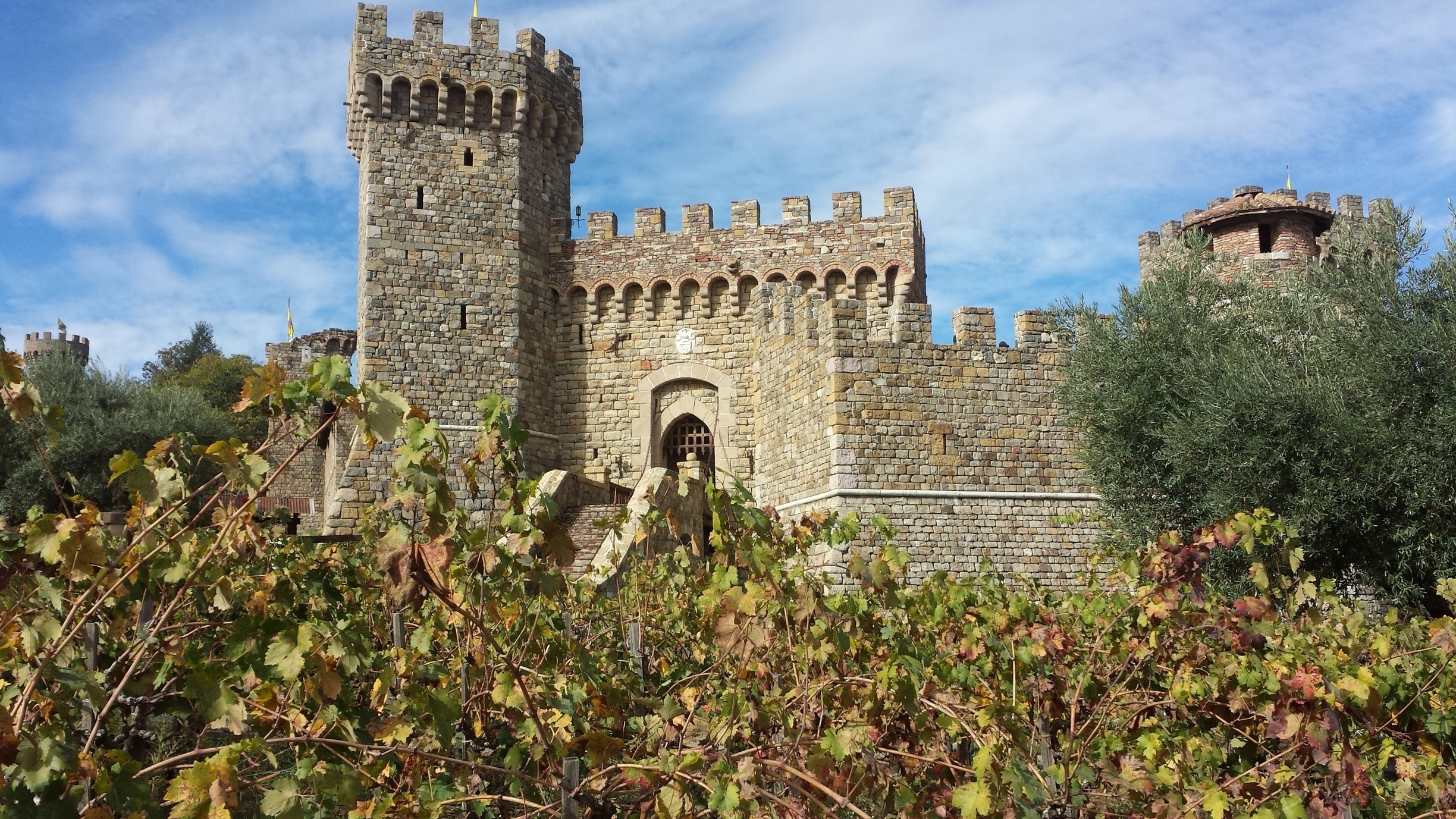 Castello di Amorosa 8 x 10 Canvas Print