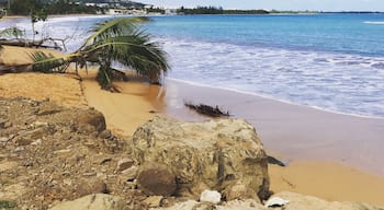 Gorgeous view and beautiful golden sand at Playa Fortuna in Puerto Rico! #culture