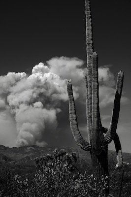 Watching the world burn... 2019 Arizona wildfires #Adventure