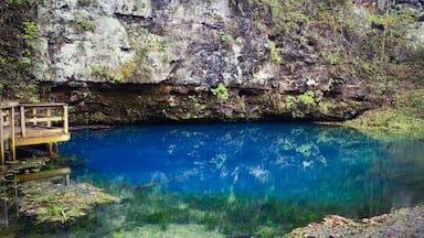 This #bluespring in southern #missouri is a gem!  I've never seen anything so blue. #frattography