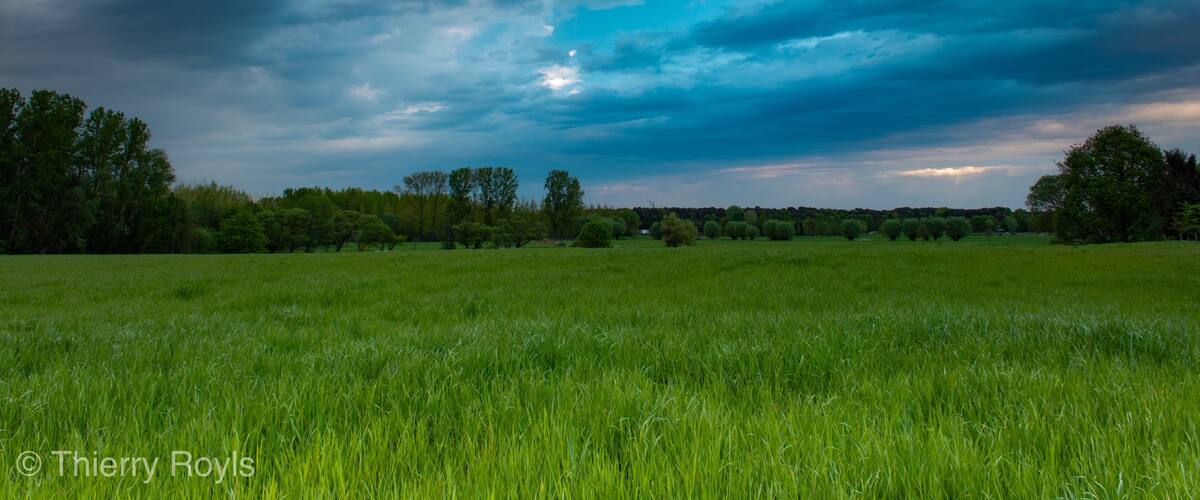Nice view on the fields from one of the entries of the Boortmeerbeekse bos, many birds to spot there.
More pictures on Instagram @thierryroyls