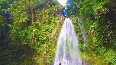 Ulan Ulan Falls Biliran Philippines 🇵🇭 
