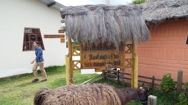 Museum of lama in Ecuador, created by indigenous community, very different, very interesting, and you can eat a lama stew