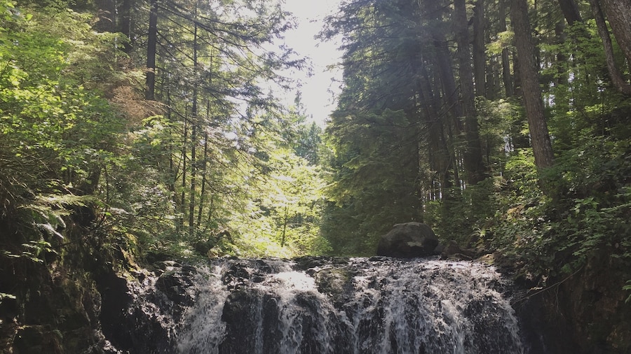 rolley waterfalls