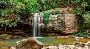 Tucked away near the township of Buderim in the Sunshine Coast of Queensland, Australia, is a nature reserve and falls.  With the area once being private land, it is now available for all to meander by The creek, take a hike, have a picnic or even a splash in the rock pools.  A great way to spend your time whilst visiting the area. #green #challenge #sweepstakes #australia 