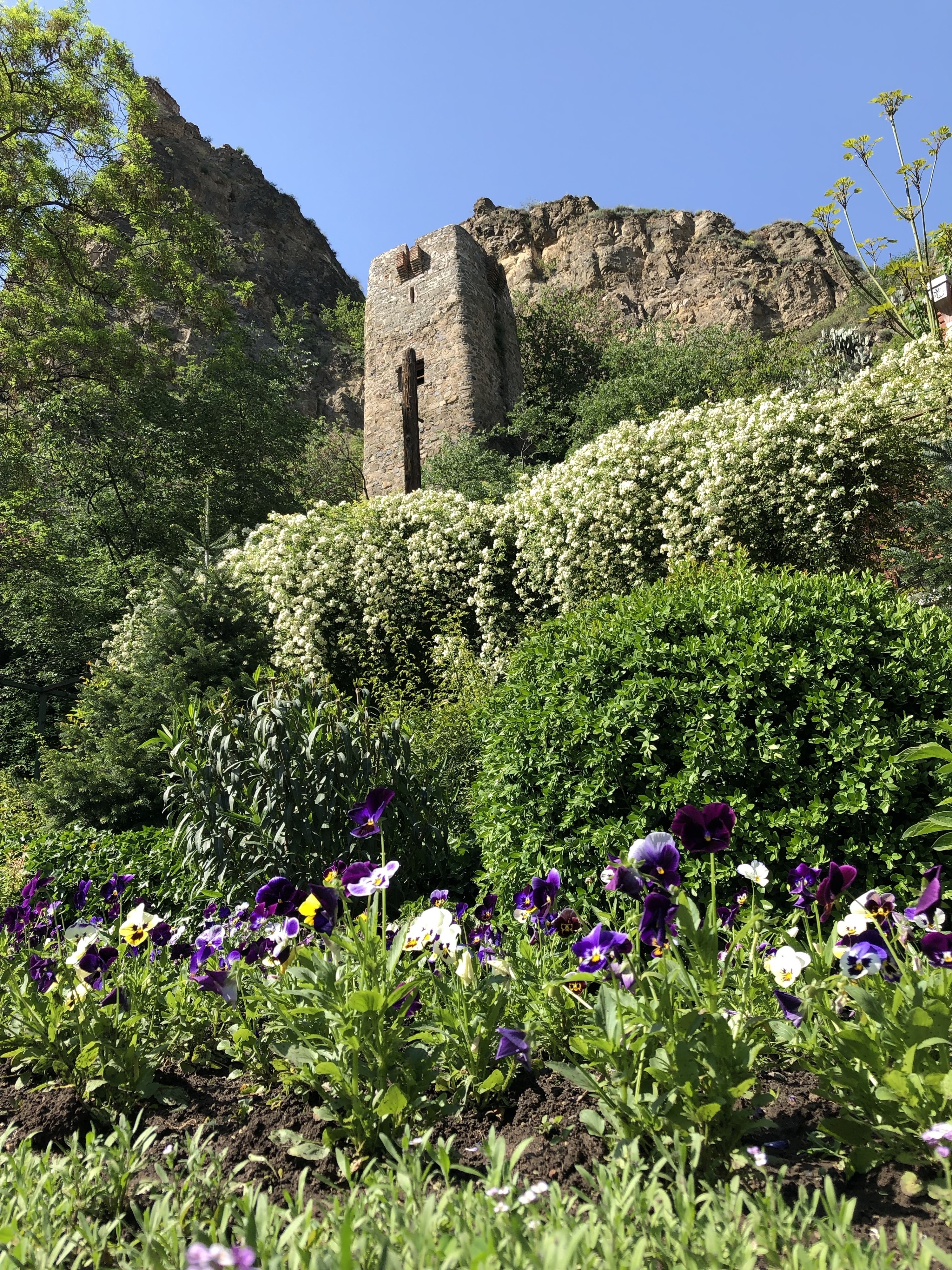 View from inside of a botanical garden located in the Georgian capital of Tbilisi. Located in a gorge located behind Tbilisi’s Old Town, this botanical garden has a number of pleasant trails and even a waterfall. Looking up, a visitor will see the remains of a structure known as the Narikala Fortress.