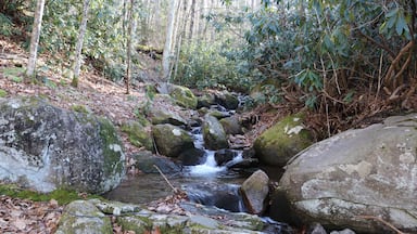 This stream flows through the Grindstone Campground. This photo was taken at the playground area of the campground.