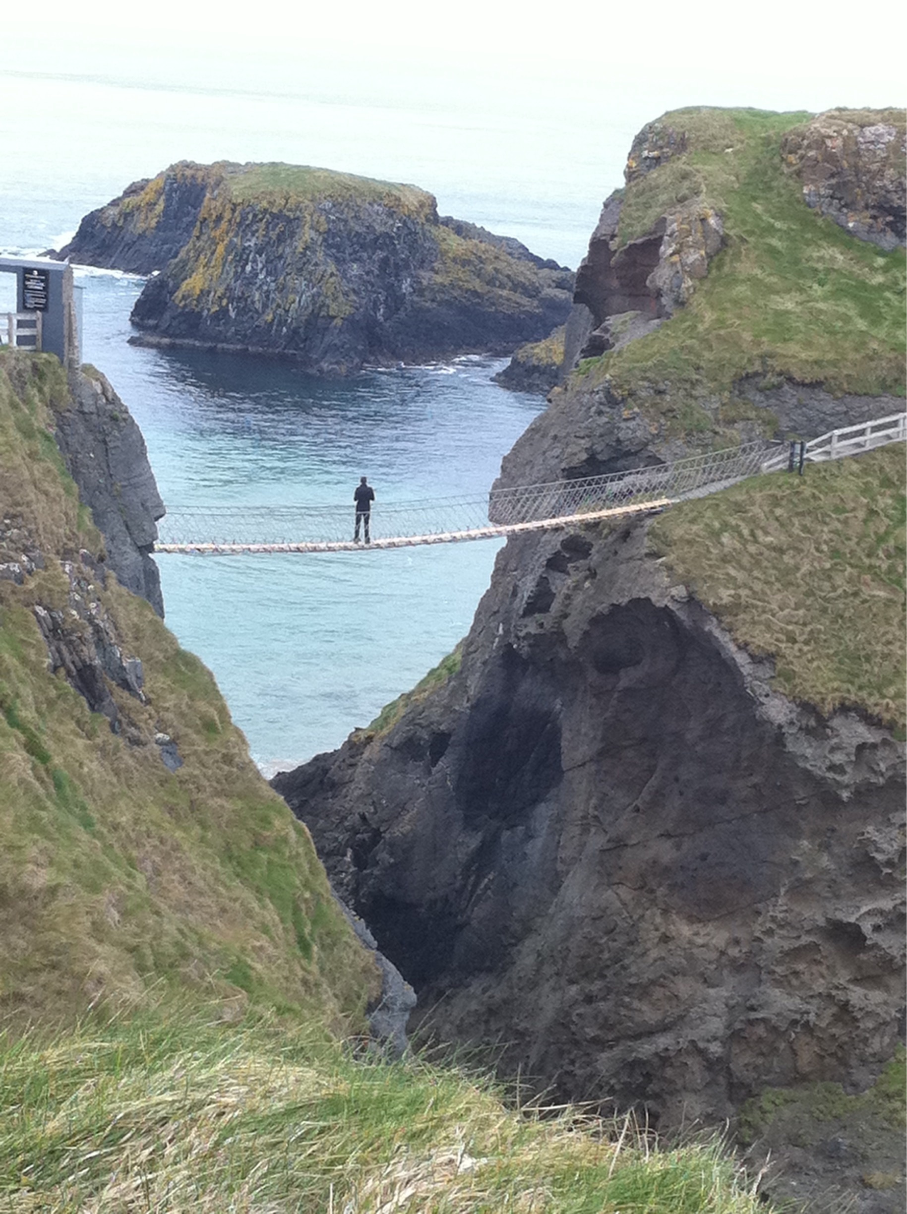 Carrick-A-Rede Rope Bridge Tours - Book Now