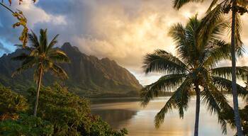 Sunrise east side Kahaluu Hawaii. 
#☀️ #☁️ #🌊 #🌅 #👋 #⛰ #sky #landscape #water #clouds #summer #sea #travel #cloud #horizon #sun #tree #scenery #ocean #beach #coast #lake #vacation #scenic #sunny #reflection #nature #travel #instagood #summer #green