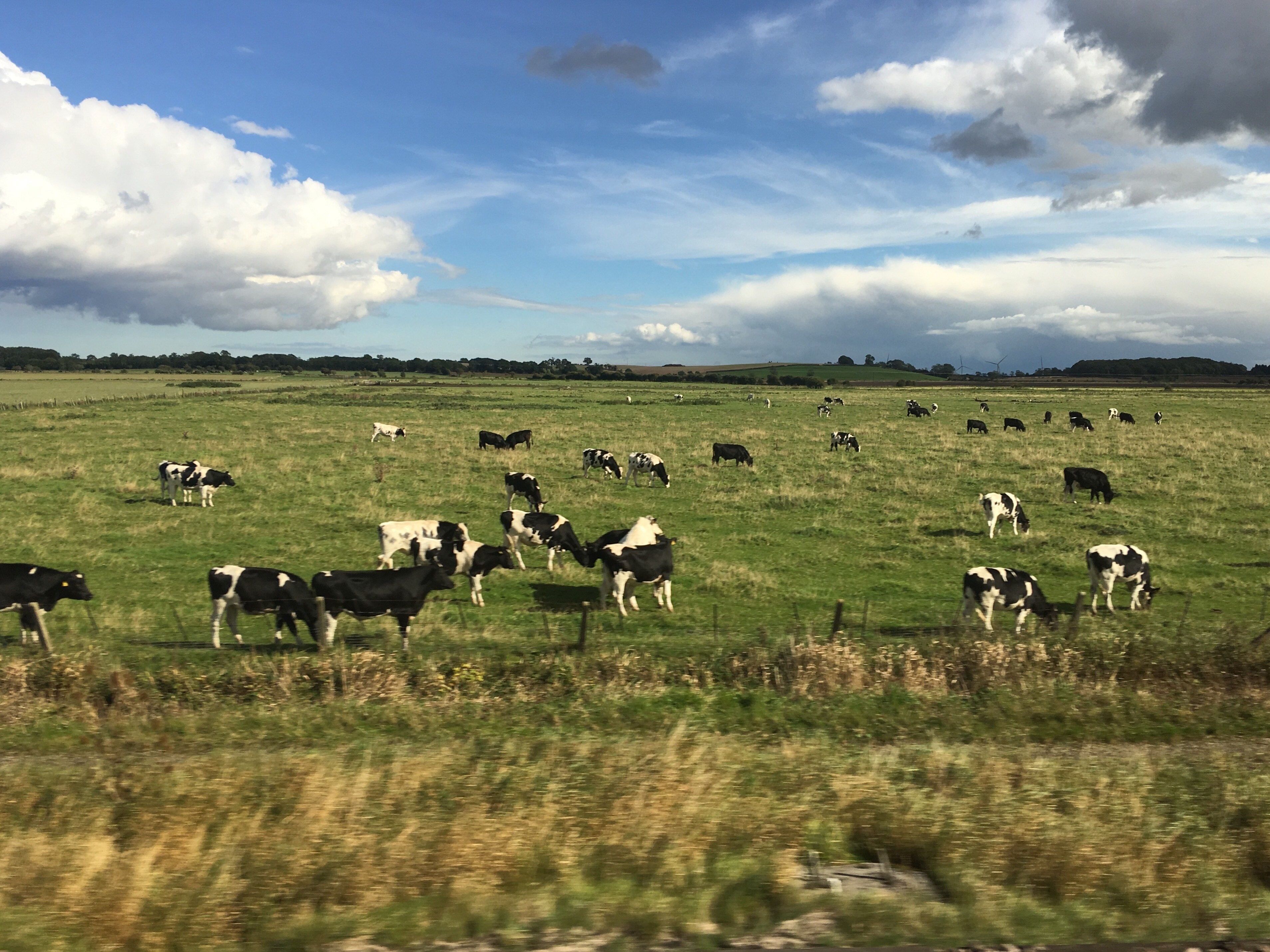 Photo by MariaDassTheWorld