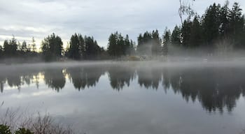 A soothing afternoon mist settles over Lake Killarney, on the boundary between the towns of Auburn and Federal Way, Washington.