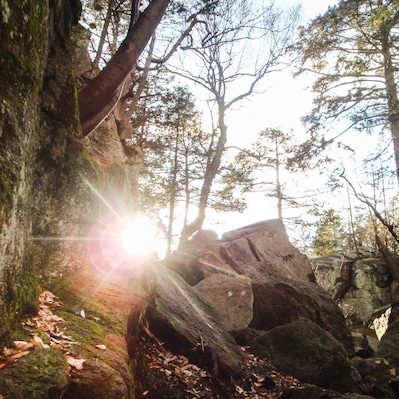 Purgatory Chasm is a fun park with huge boulders you can climb over, under, between, and around!
