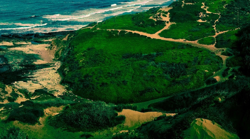 Visit Los Osos Best of Los Osos Tourism Expedia Travel Guide