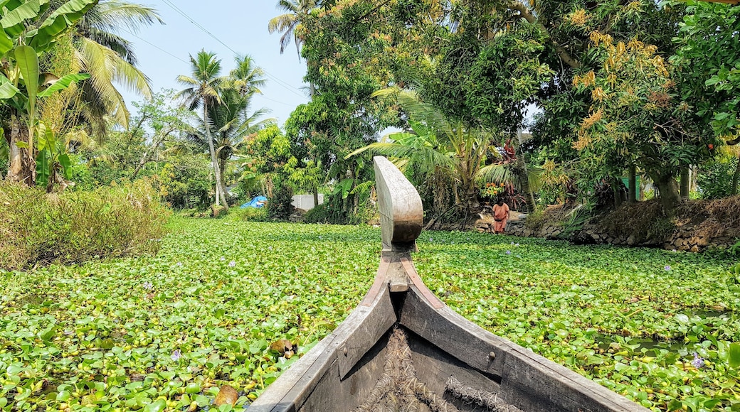 Erezha, Ambalapuzha, Kerala, India