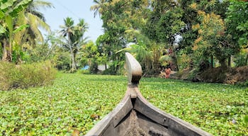 A canoe day trip on the Alleppey Backwaters is the perfect backpacker alternative to the more luxurious house boat trips available. A perfect day relaxing in the Venice of India seeing the local way of life and abundant nature. 

#india
#southindia
#veniceofindia