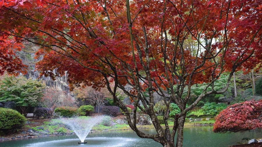 T.H. Broyhill Walking Park