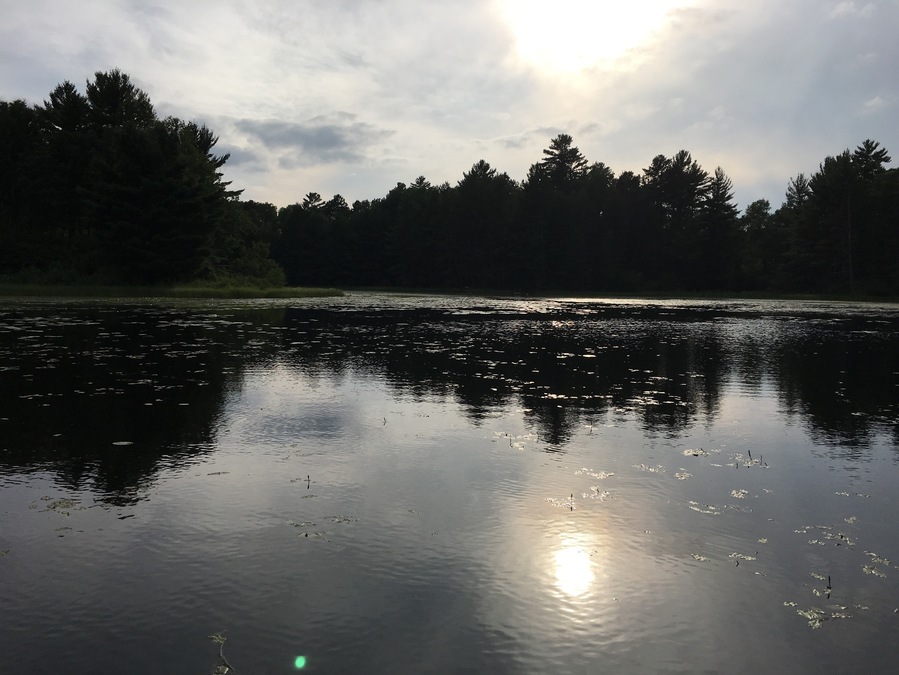 Just north of St. Cloud, MN, Barnum Lake is one of 10,000 lakes in Minnesota. Stayed with our friends from Venice, Florida who own a picturesque home in northern Minnesota.