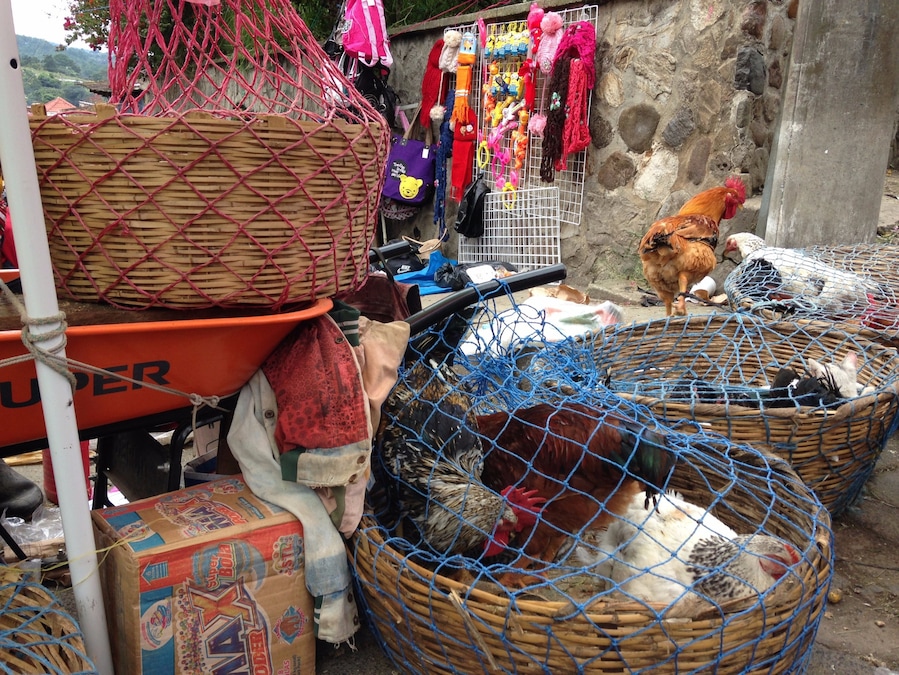 After our first ever chicken bus ride (which is an adventure in of itself) we arrived in Chi-Chi, the biggest market in Central America. Sensory overload. There is so much to see here!! Just make sure you haggle!!!
#Guatemala #market #chichi