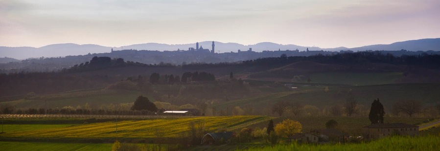 The skyline of Siena from Montaperti