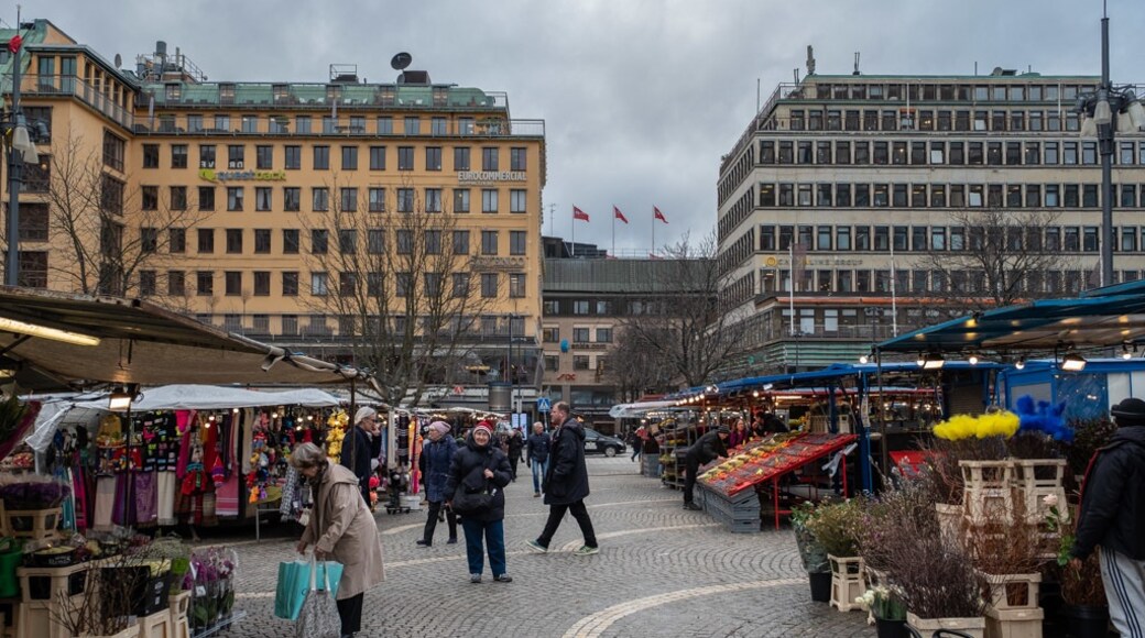 Πλατεία Hotorget, Στοκχόλμη, Νομός Στοκχόλμης, Σουηδία
